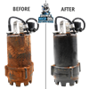 Wash-Dog_Before_After_-_side-by-side_570x570