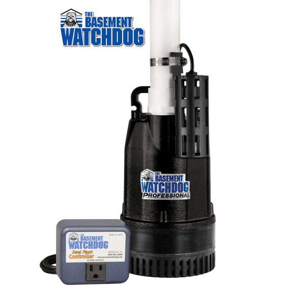 SIT Series | Basement Watchdog