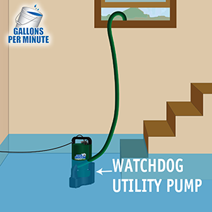 Powerful Pumping Capacity of Basement Watchdog Automatic Utility Pump