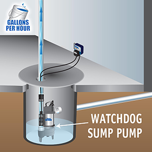Pumping Power of the Basement Watchdog BWSS Sump Pump